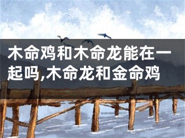 木命鸡和木命龙能在一起吗,木命龙和金命鸡
