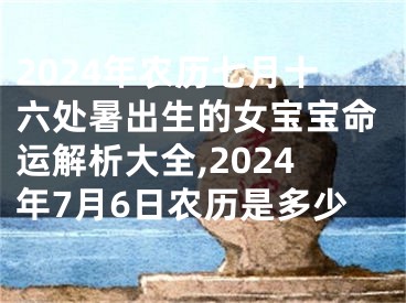 2024年农历七月十六处暑出生的女宝宝命运解析大全,2024年7月6日农历是多少