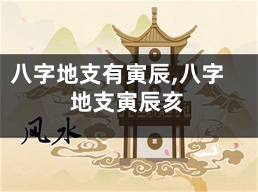 八字地支有寅辰,八字地支寅辰亥