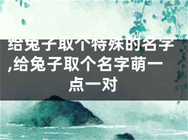 给兔子取个特殊的名字,给兔子取个名字萌一点一对