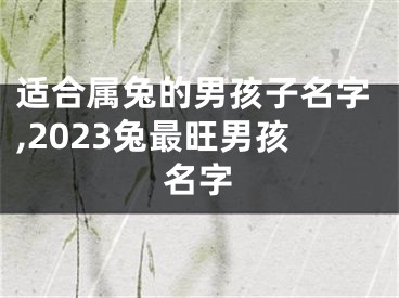 适合属兔的男孩子名字,2023兔最旺男孩名字
