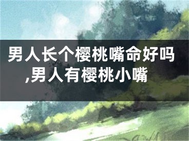 男人长个樱桃嘴命好吗,男人有樱桃小嘴