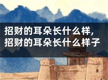招财的耳朵长什么样,招财的耳朵长什么样子