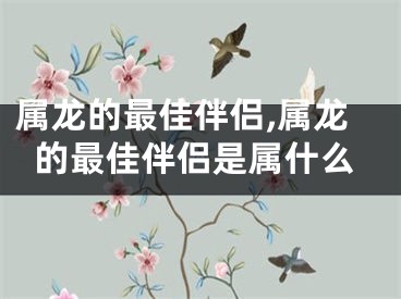 属龙的最佳伴侣,属龙的最佳伴侣是属什么
