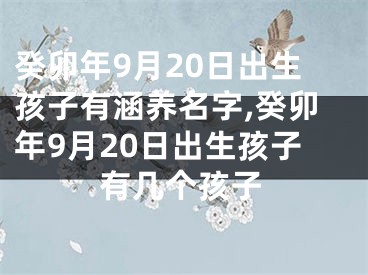 癸卯年9月20日出生孩子有涵养名字,癸卯年9月20日出生孩子有几个孩子