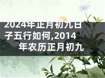 2024年正月初九日子五行如何,2014年农历正月初九