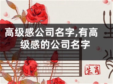 高级感公司名字,有高级感的公司名字