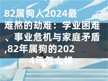 82属狗人2024最难熬的劫难：学业困难、事业危机与家庭矛盾,82年属狗的2024年怎么样