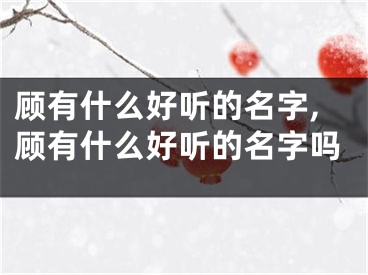 顾有什么好听的名字,顾有什么好听的名字吗