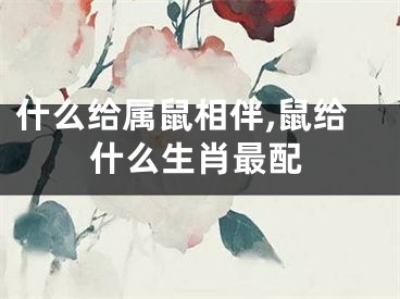 什么给属鼠相伴,鼠给什么生肖最配