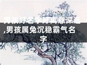 男孩好名字好寓意深远,男孩属兔沉稳霸气名字