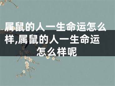 属鼠的人一生命运怎么样,属鼠的人一生命运怎么样呢