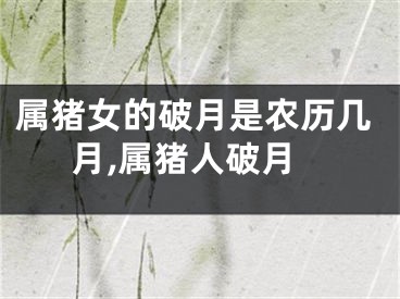 属猪女的破月是农历几月,属猪人破月