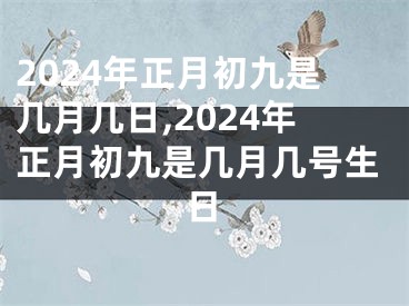 2024年正月初九是几月几日,2024年正月初九是几月几号生日