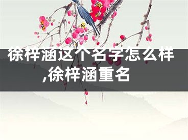 徐梓涵这个名字怎么样,徐梓涵重名