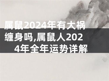 属鼠2024年有大祸缠身吗,属鼠人2024年全年运势详解