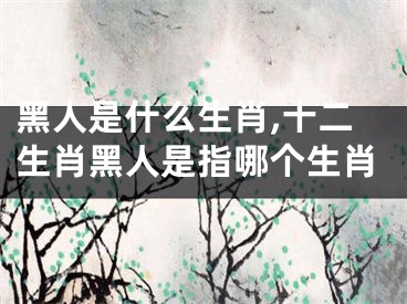 黑人是什么生肖,十二生肖黑人是指哪个生肖
