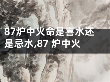 87炉中火命是喜水还是忌水,87 炉中火
