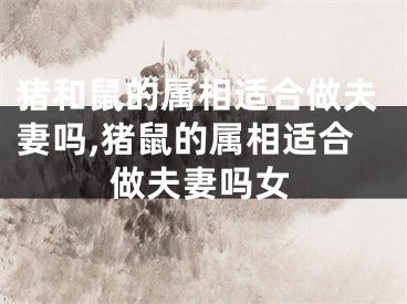 猪和鼠的属相适合做夫妻吗,猪鼠的属相适合做夫妻吗女