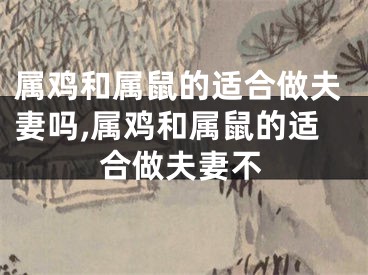 属鸡和属鼠的适合做夫妻吗,属鸡和属鼠的适合做夫妻不