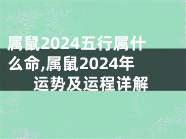 属鼠2024五行属什么命,属鼠2024年运势及运程详解