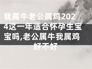 我属牛老公属鸡2024这一年适合怀孕生宝宝吗,老公属牛我属鸡好不好