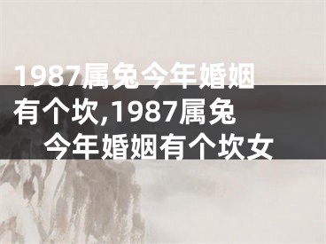1987属兔今年婚姻有个坎,1987属兔今年婚姻有个坎女
