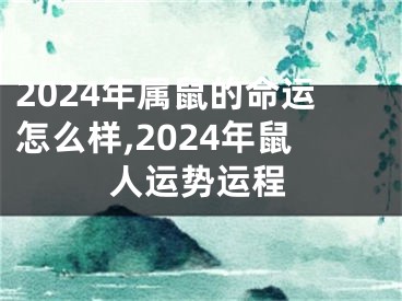 2024年属鼠的命运怎么样,2024年鼠人运势运程