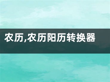 农历,农历阳历转换器
