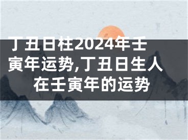 丁丑日柱2024年壬寅年运势,丁丑日生人在壬寅年的运势