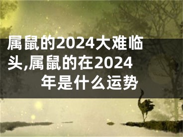 属鼠的2024大难临头,属鼠的在2024年是什么运势