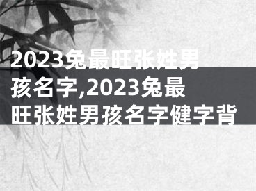 2023兔最旺张姓男孩名字,2023兔最旺张姓男孩名字健字背