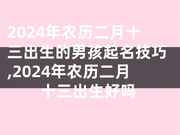 2024年农历二月十三出生的男孩起名技巧,2024年农历二月十三出生好吗