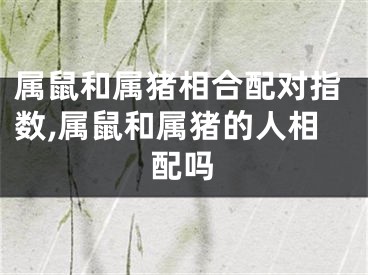 属鼠和属猪相合配对指数,属鼠和属猪的人相配吗