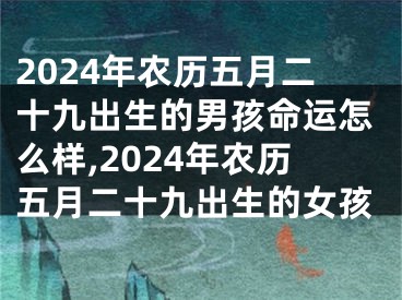 2024年农历五月二十九出生的男孩命运怎么样,2024年农历五月二十九出生的女孩