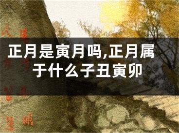 正月是寅月吗,正月属于什么子丑寅卯