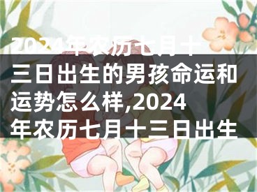 2024年农历七月十三日出生的男孩命运和运势怎么样,2024年农历七月十三日出生