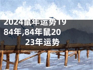 2024鼠年运势1984年,84年鼠2023年运势