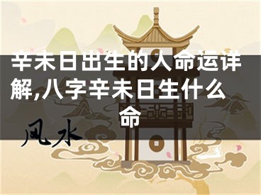 辛未日出生的人命运详解,八字辛未日生什么命