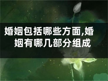 婚姻包括哪些方面,婚姻有哪几部分组成