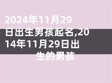 2024年11月29日出生男孩起名,2014年11月29日出生的男孩