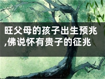 旺父母的孩子出生预兆,佛说怀有贵子的征兆