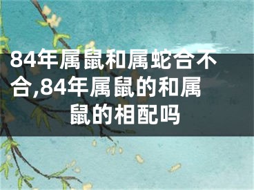 84年属鼠和属蛇合不合,84年属鼠的和属鼠的相配吗