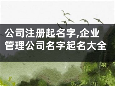 公司注册起名字,企业管理公司名字起名大全