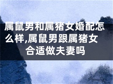 属鼠男和属猪女婚配怎么样,属鼠男跟属猪女合适做夫妻吗