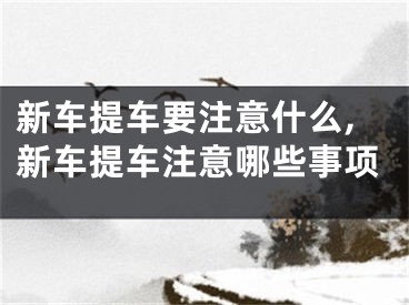 新车提车要注意什么,新车提车注意哪些事项