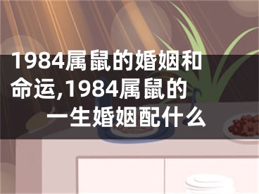 1984属鼠的婚姻和命运,1984属鼠的一生婚姻配什么
