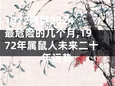 1972属鼠2024最危险的几个月,1972年属鼠人未来二十年运势