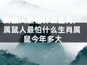 属鼠人最怕什么生肖,属鼠人最怕什么生肖属鼠今年多大