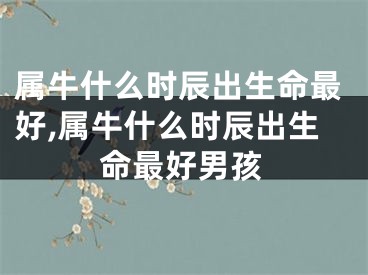 属牛什么时辰出生命最好,属牛什么时辰出生命最好男孩